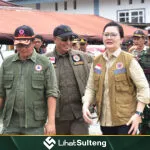 Lihat Sulteng lihatsulteng.com