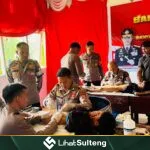 Lihat Sulteng lihatsulteng.com