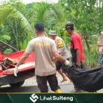 Lihat Sulteng lihatsulteng.com