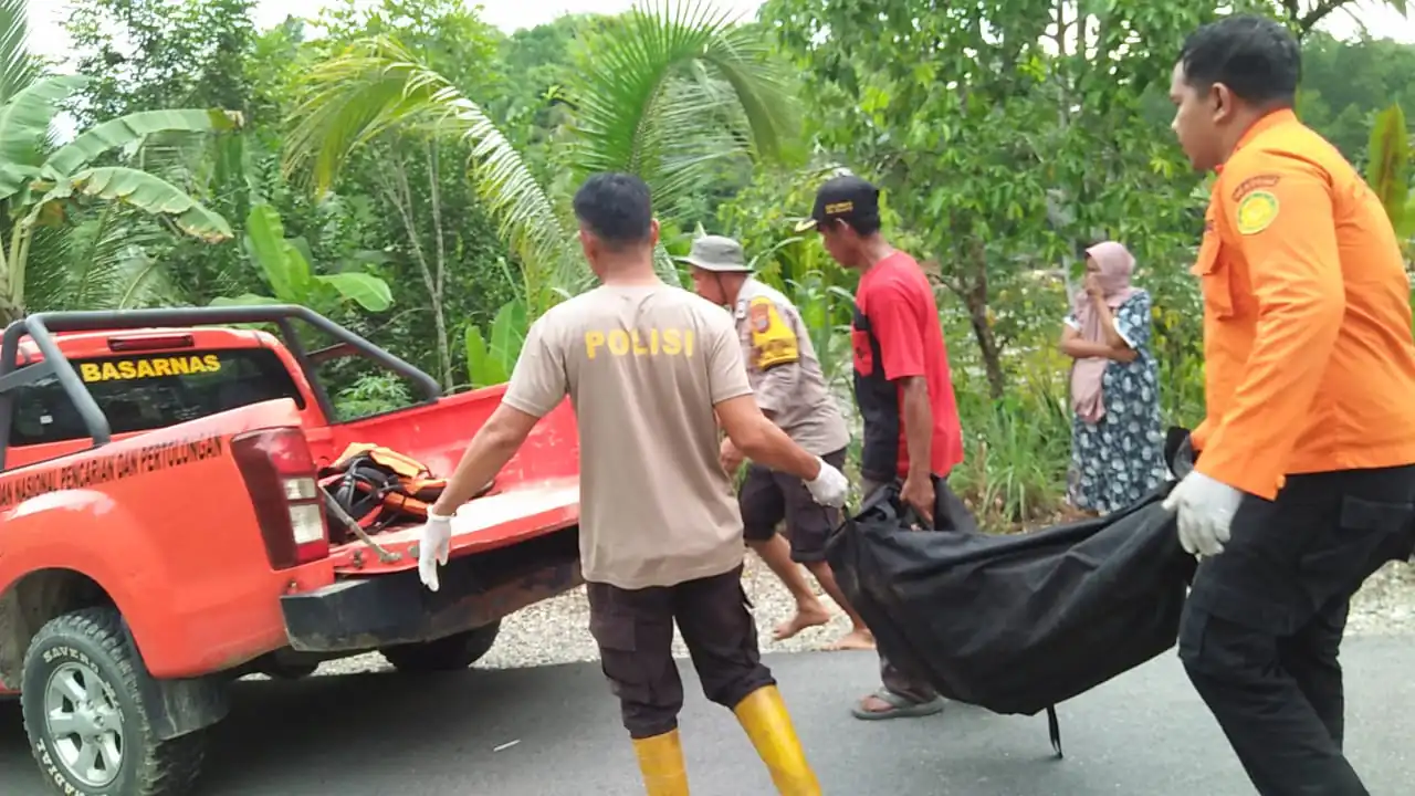 Lihat Sulteng lihatsulteng.com