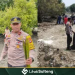 Lihat Sulteng lihatsulteng.com