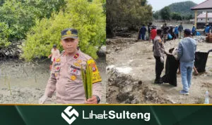 Lihat Sulteng lihatsulteng.com