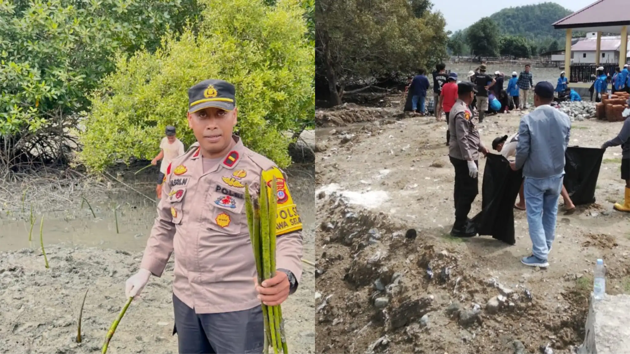 Lihat Sulteng lihatsulteng.com