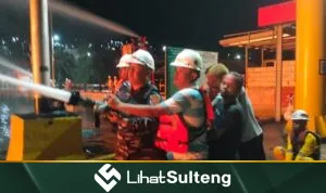 Lihat Sulteng lihatsulteng.com