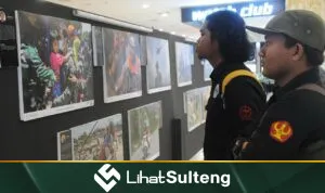 Lihat Sulteng lihatsulteng.com