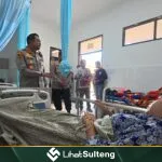 Lihat Sulteng lihatsulteng.com