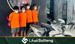 Lihat Sulteng lihatsulteng.com