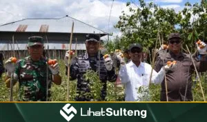 Lanal Palu Lanal Palu