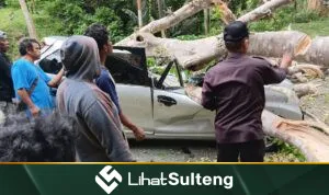lihatsulteng.com