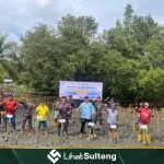 Lihat Sulteng lihatsulteng.com