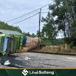 Lihat Sulteng lihatsulteng.com