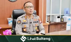LihatSulteng lihatsulteng.com